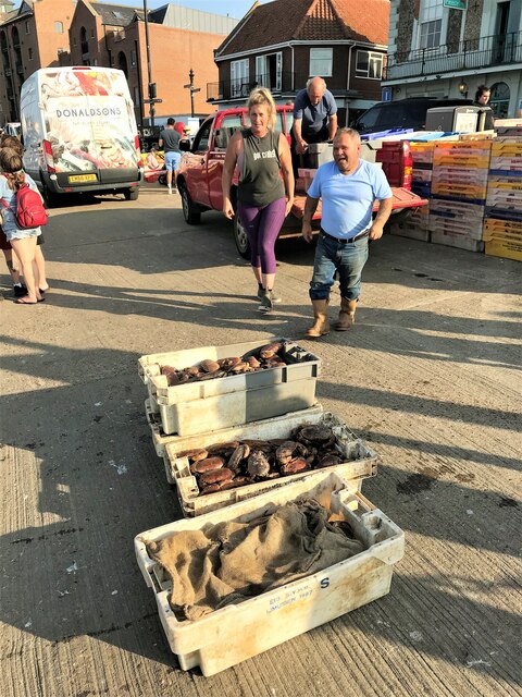 Loading crates of fresh crabs on Wells quay in Norfolk