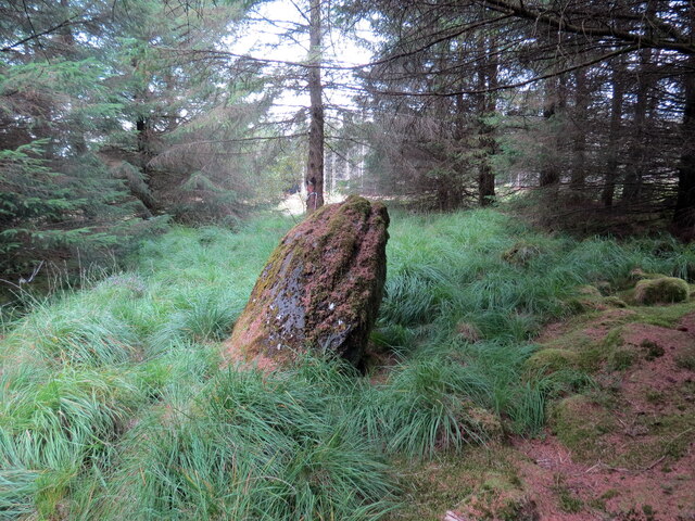 Maenhir ger Pant Meddygon / Standing stone near Pant meddygon