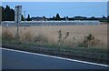 Greenhouses by Mill Road, Newbold on Stour