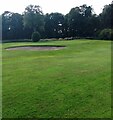 Dalziel Park: 9th Green