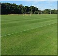 Sports pitches: Dalziel Park