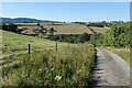 Road to Deer Park Farm