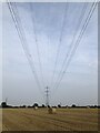 Hay Bales & Power Lines