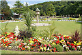 Summer planting in Douglas Park