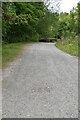 Track, Friston Forest