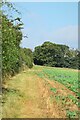 Footpath to Doublegate Lane