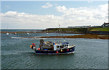 NU2232 : Boat, North Sunderland Harbour, Seahouses by habiloid