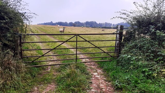 Gateway to sheep field on NE side of Peter Gate SE of Stand End Cottage