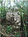 Boundary Stone, Beresford Lane