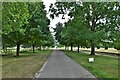 TL8646 : Long Melford, Melford Hall: Avenue of trees leading to the main entrance by Michael Garlick