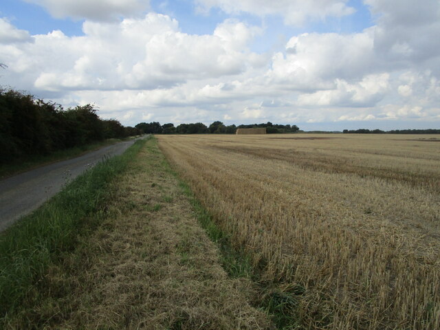 Broad Drove, Surfleet Fen © Jonathan Thacker cc-by-sa/2.0 :: Geograph ...