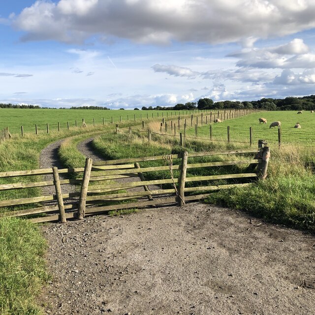 Gated Farm Track