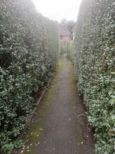 Path from Blandford Close to Greenhalgh Walk