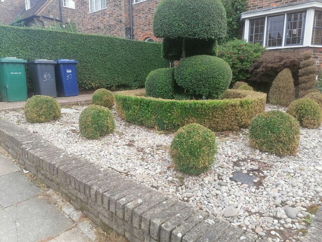 Topiary on Brim Hill, Hampstead Garden Suburb