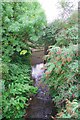 River Medlock From Fairfield Street