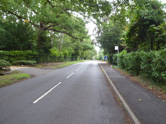 Bus stop in Hollybush Hill
