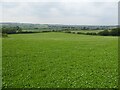 Farmland near Dyrham