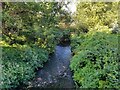 The River Salwarpe after Upton Warren Bridge