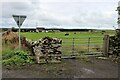 Field gate at Inn Farm