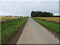 Road approaching Crofts