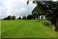 Footpath heading towards Cuerdale Lane