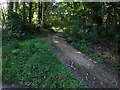 Footpath leading off Heldre Hill to Brunant