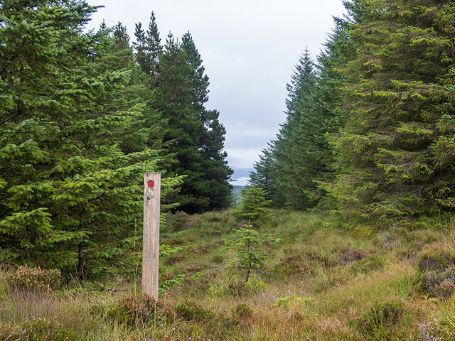 Waymarker post and forest ride
