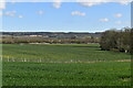 Field, Calehill Park