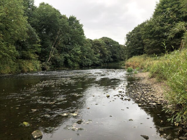 River Wear Near Byers Green