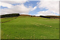 Fields on Craig of Westertown