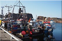 NT6779 : Fishing Boats in Dunbar Harbour by Jennifer Petrie