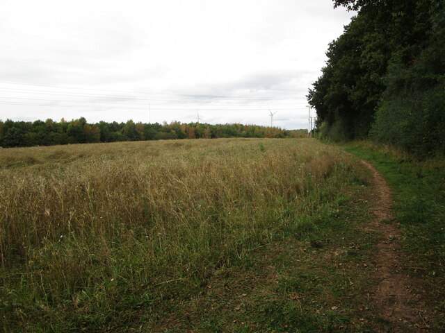 Path alongside Eakring Brail Wood