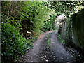 Digbeth Lane west of Claverley in Shropshire