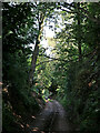 Digbeth Lane at Homelea near Claverley in Shropshire