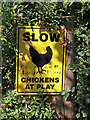 Slow chickens on the game