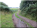 Track near to Easter Knox and Knox Hill