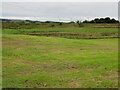 NS9159 : Cut grass field at East Badallan by M J Richardson