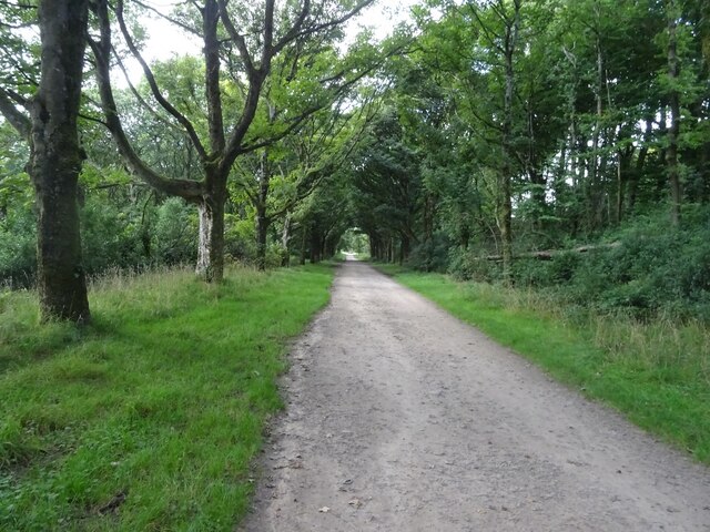 Path in Rivington