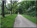 Path in Rivington