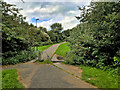 Banana Path, Radcliffe