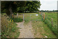 Sharp bend on the Itchen Way