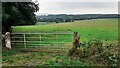 Fields on SW side of Peter Gate SE of Cotehill