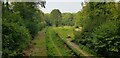 West Meon Trail and Picnic Area