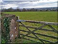 View from Coldnose, Bagley