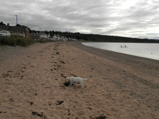 Shore at Cromarty