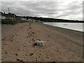 Shore at Cromarty