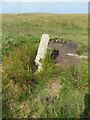 SX1377 : Old Boundary Marker on the boundary of King Arthur’s Downs and Emblance Downs, St Breward parish by P G Moore