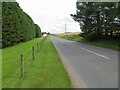 Road (A944) near to Kirkwood