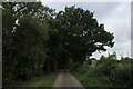 SD6028 : Green Lane heading towards Cardwell's Farm by Chris Heaton