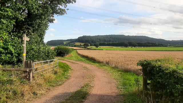 Track and footpath towards East Dean